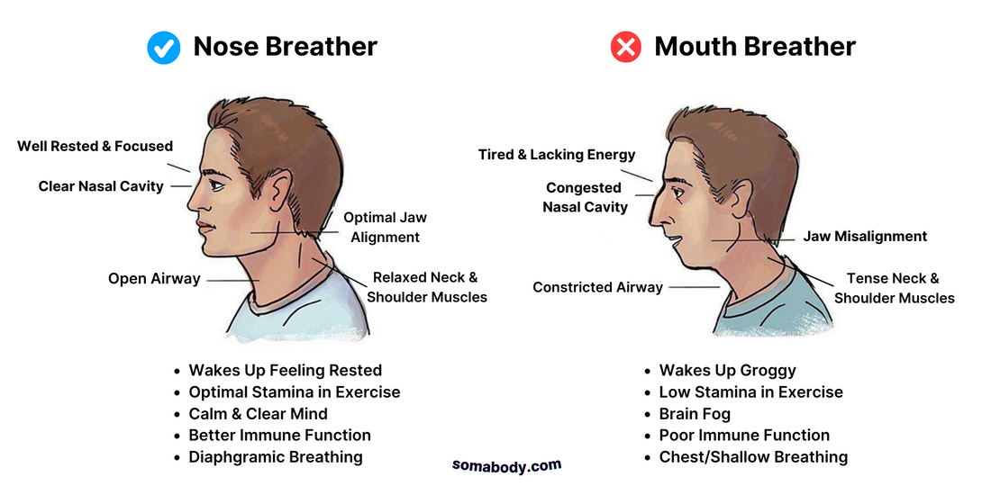 The Power of the Nose: An In-Depth Look at Nosebreathing vs Mouthbreathing