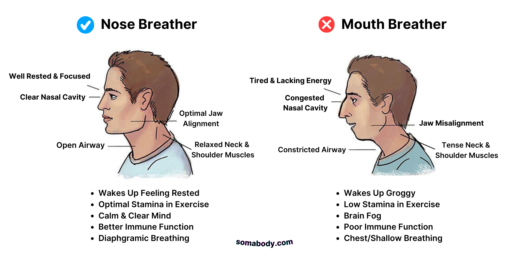 The Power of the Nose: An In-Depth Look at Nosebreathing vs Mouthbreat ...